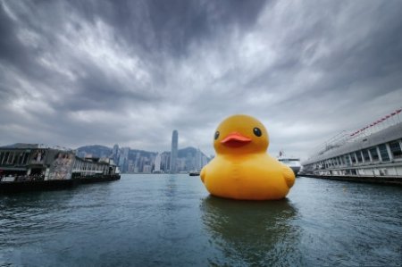 玉渊潭 大黄鸭图片