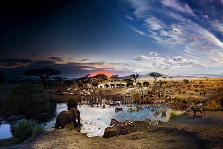 寓于自然--美国《国家地理》经典影像展顺德