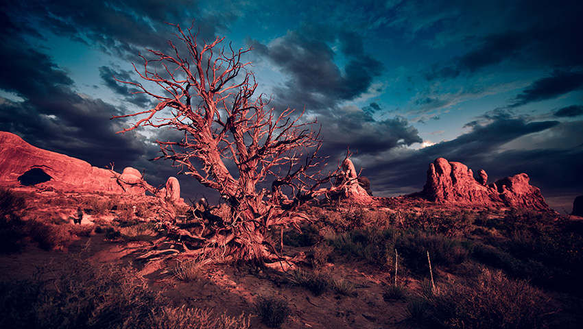 2017.9.23美国西部地质风光摄影团-影像中国网