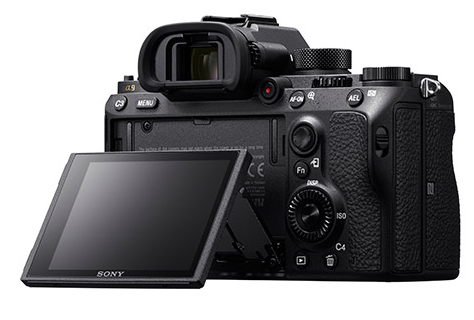 巅峰对抗:索尼微单旗舰A9 VS 佳能1DX II对比评