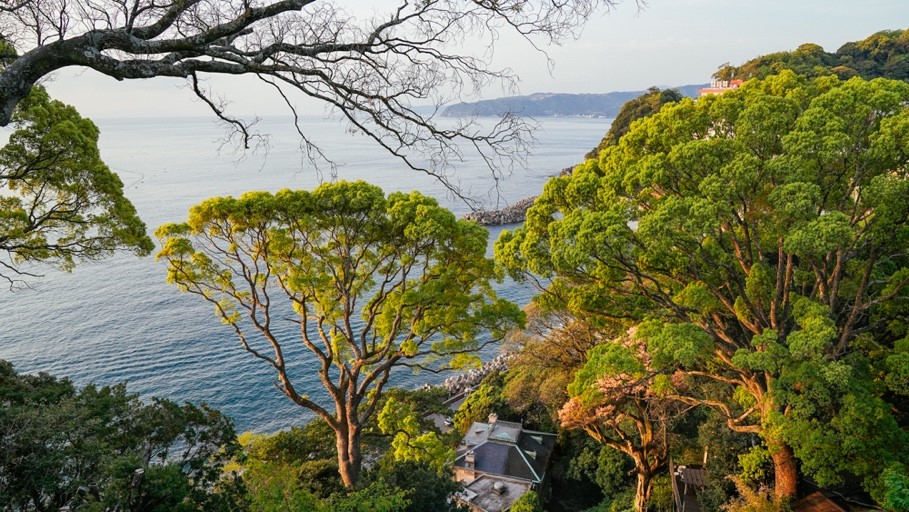 海潮香气曼妙交揉 索尼A7M3镜头下的伊豆美味