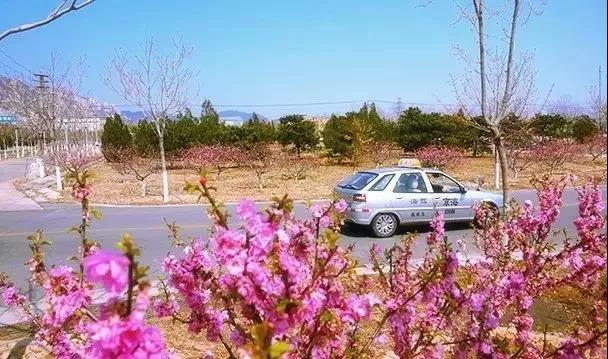 2018海淀驾校速乐骑摩友嘉年华摄影日征集活