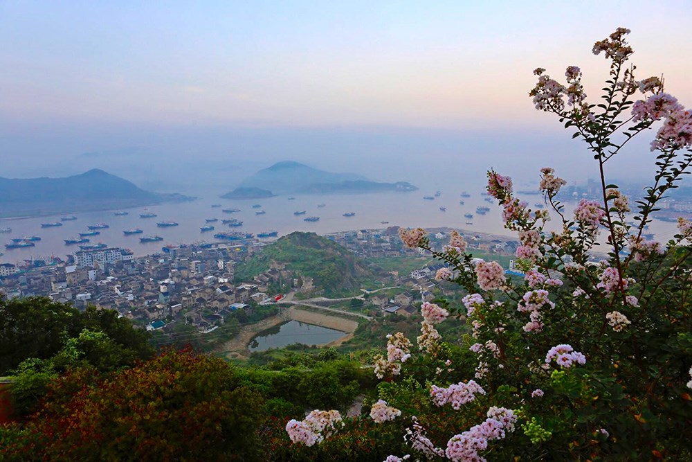 镜头下的美景,石浦人的梦