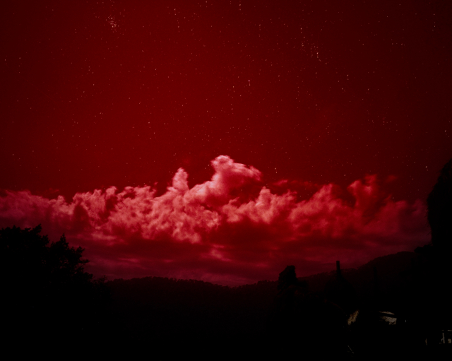 展览|梦露\/门罗:女性议题与摄影叙事