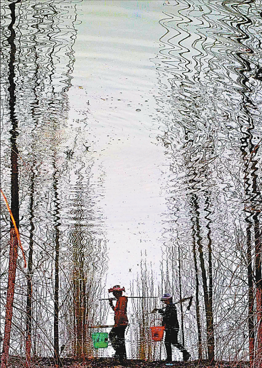 微信图片_20190401141708.png