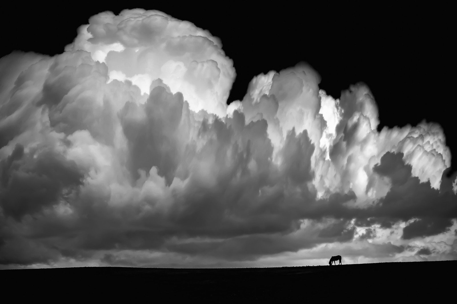 刘玲作品图集影像中国网中国摄影家协会主办