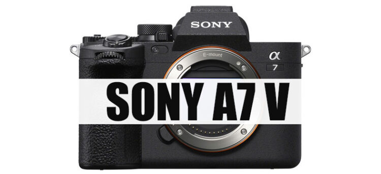 SONY-A7-V-IMAGE-FILE-750x343.jpg