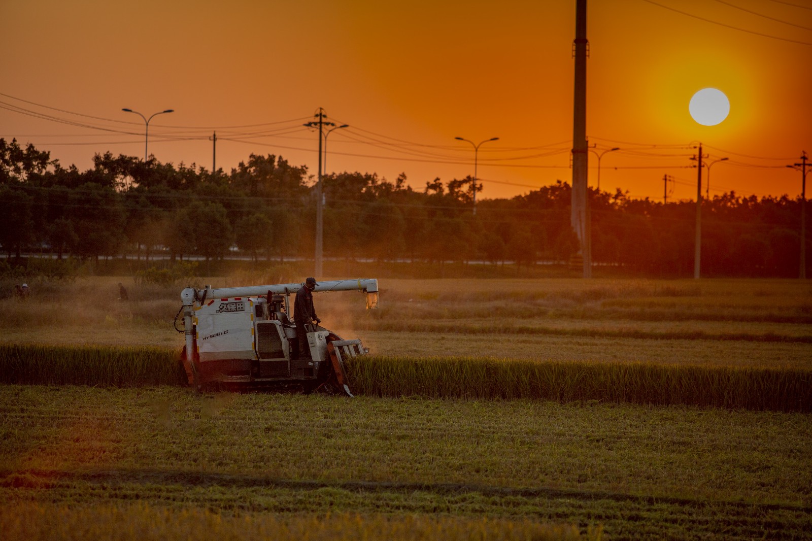 朱建作品图集影像中国网中国摄影家协会主办