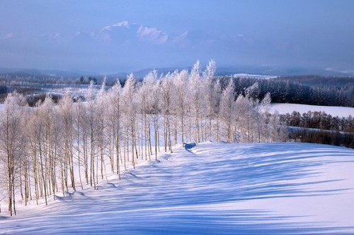 雪景拍摄技巧全攻略 - 运动摄影旅行 - 运动摄影旅行