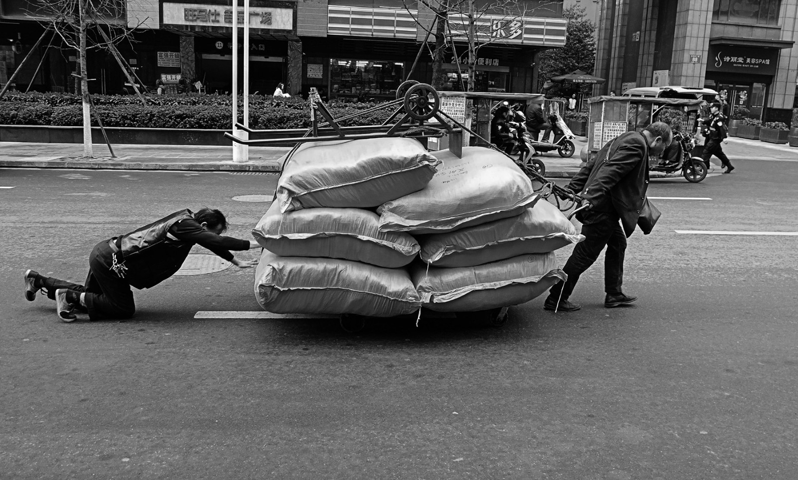 文化 器材 影展专区 在线影展作者自述:傍晚的星海湾广场码头,又一批