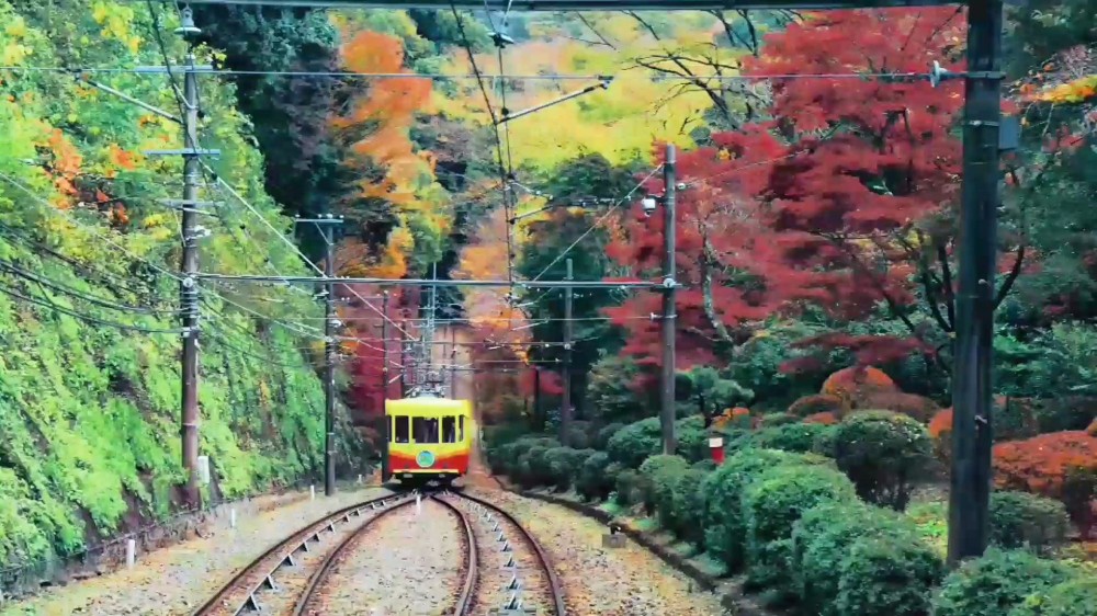 1.摄像组人气奖《从北海道到东京》 作者：Effie小主.jpg