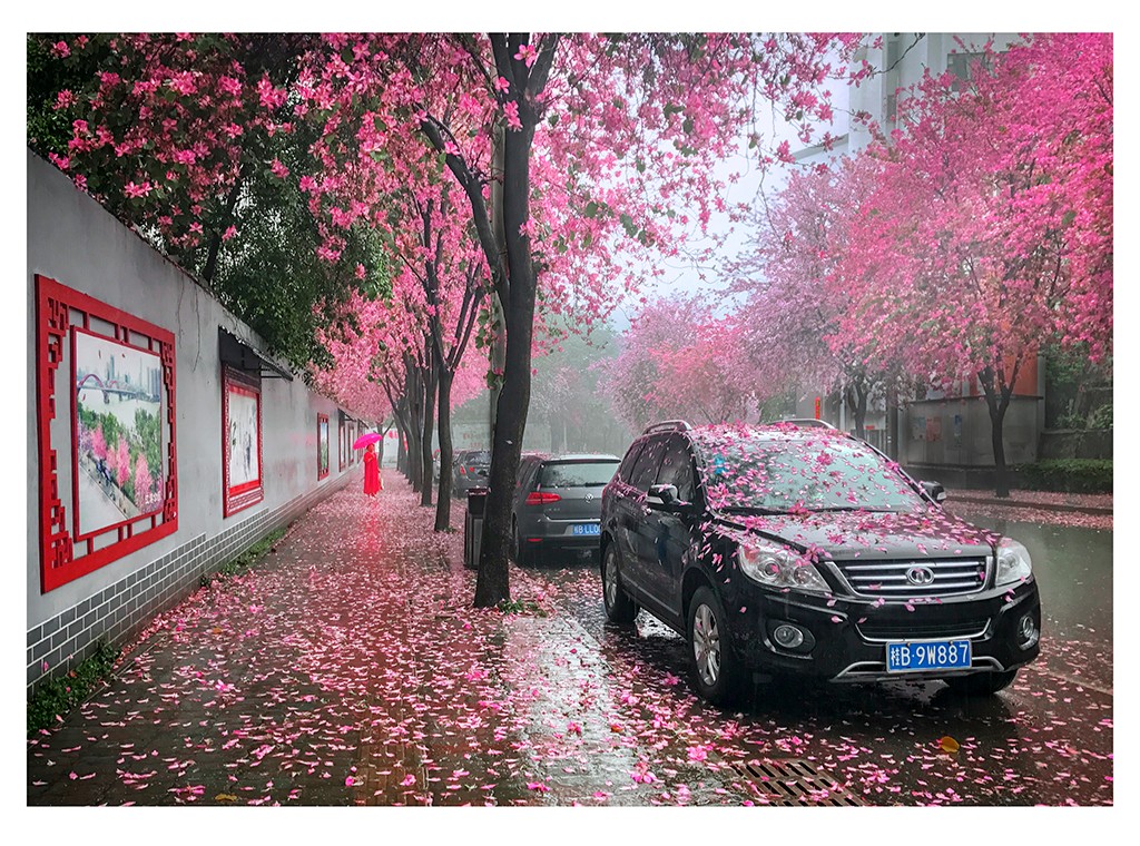 《水南花街》黄保华  .jpg
