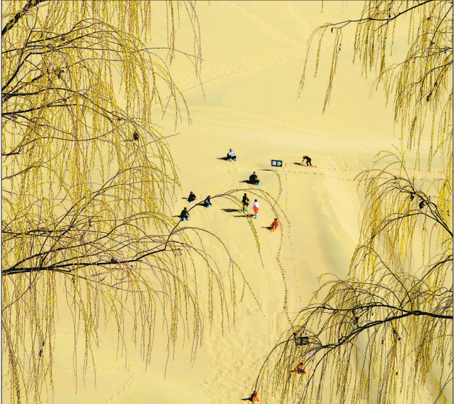 微信图片_20190401141422.png