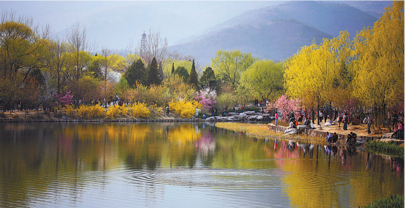 微信图片_20190401142251.png