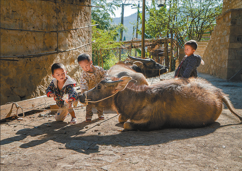 微信图片_20190509153828.png