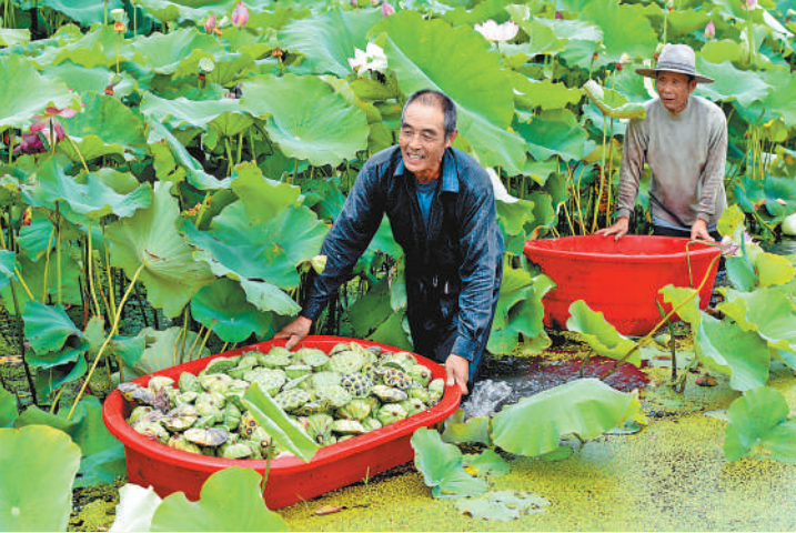 微信图片_20190722121547.png