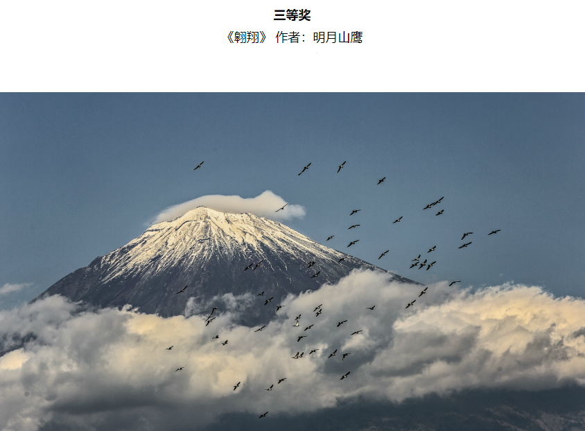 2018三等奖.png