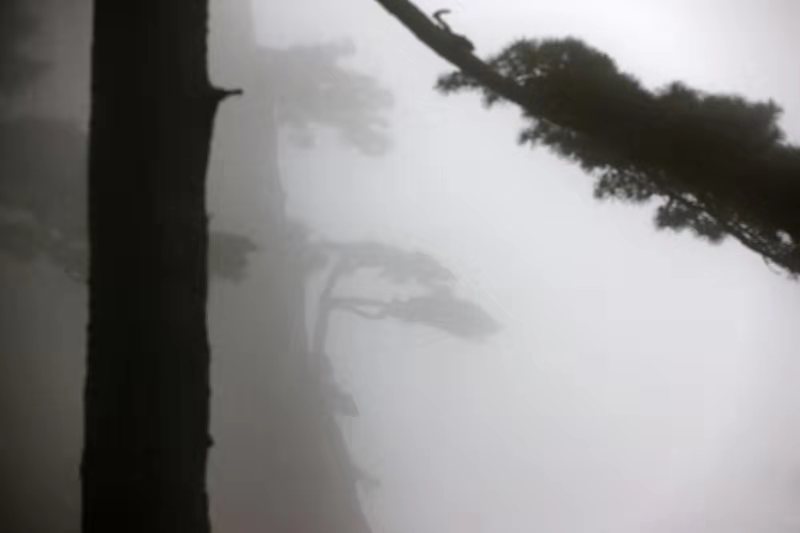 微信图片_20191030092252.jpg