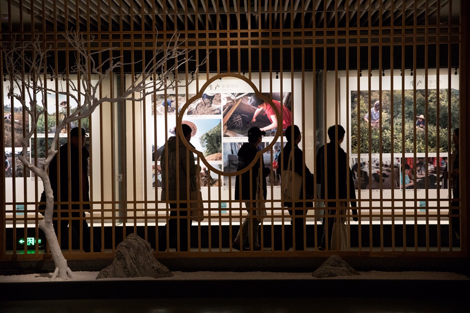 “东方诗意 黄山影像”黄山摄影工作坊作品展现场吸引了众多市民和摄影爱好者参观  曹晓东摄影 (1).jpg