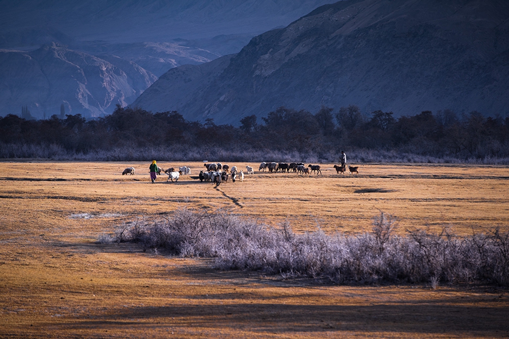 张云峰作品-图集-影像中国网-中国摄影家协会主办