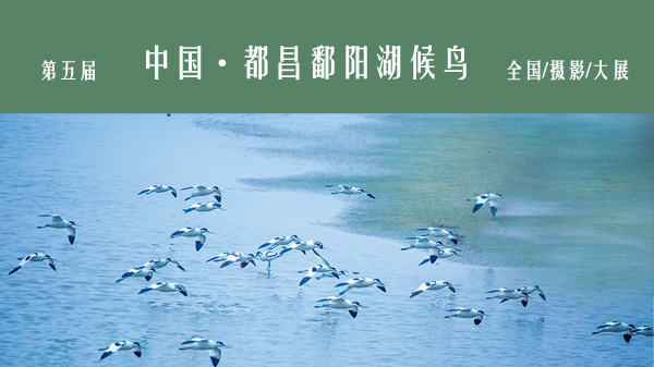 飞舞 傅建斌 摄.jpg