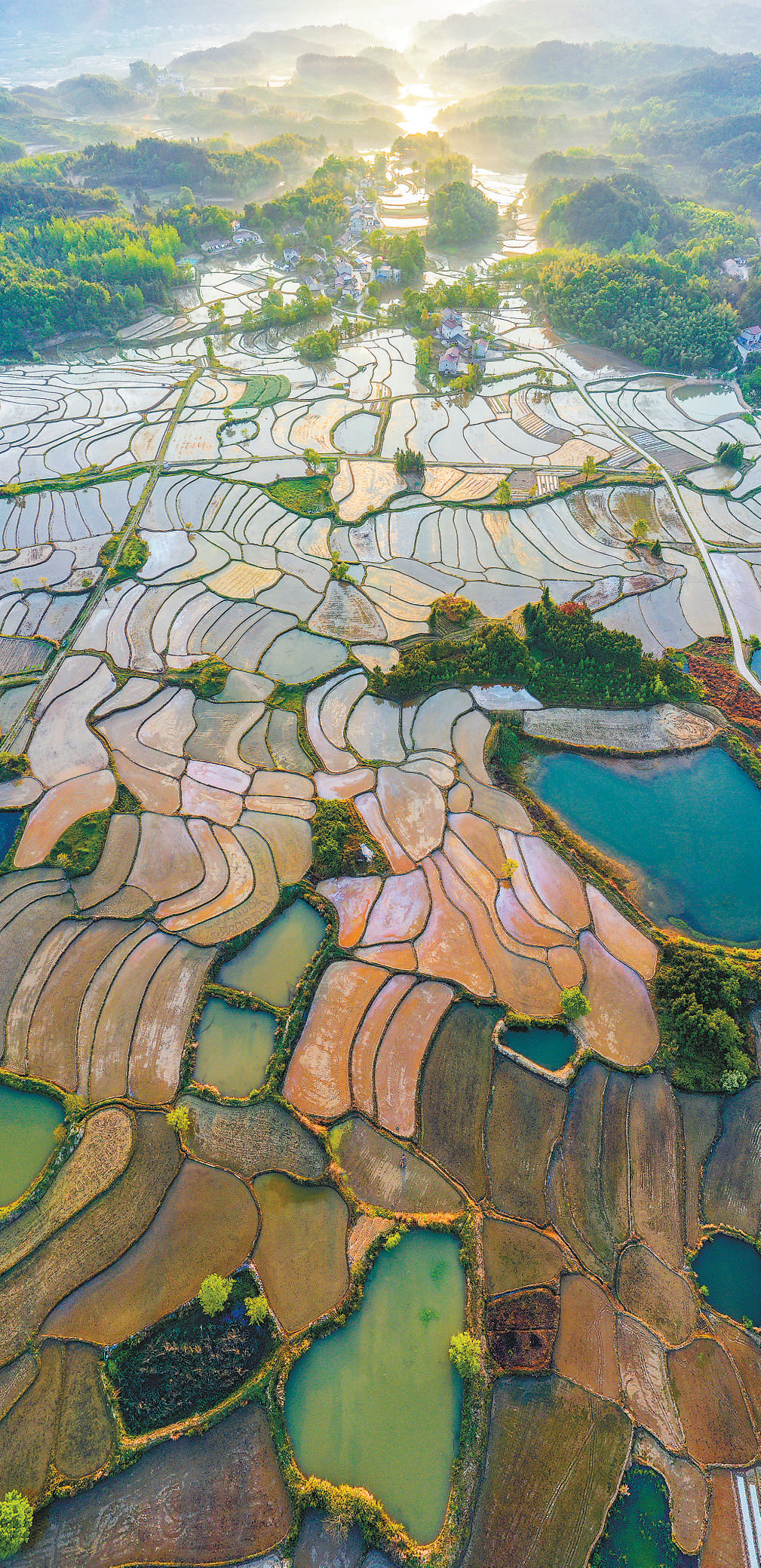 微信图片_20210425200708.png