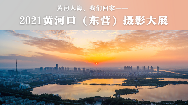 东营600.png
