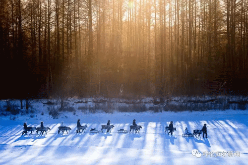 微信图片_20220114114051.gif