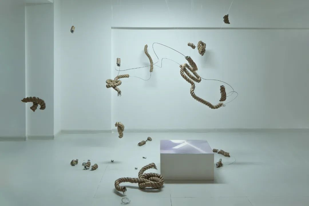 微信图片_20220225141958.jpg