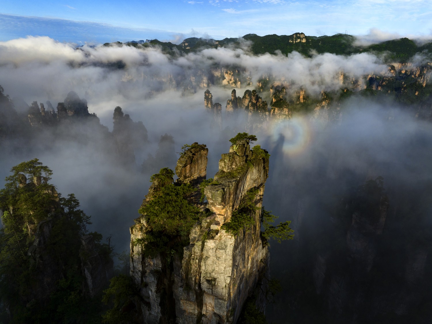 金奖《浪漫云端》陈景明 摄.jpg