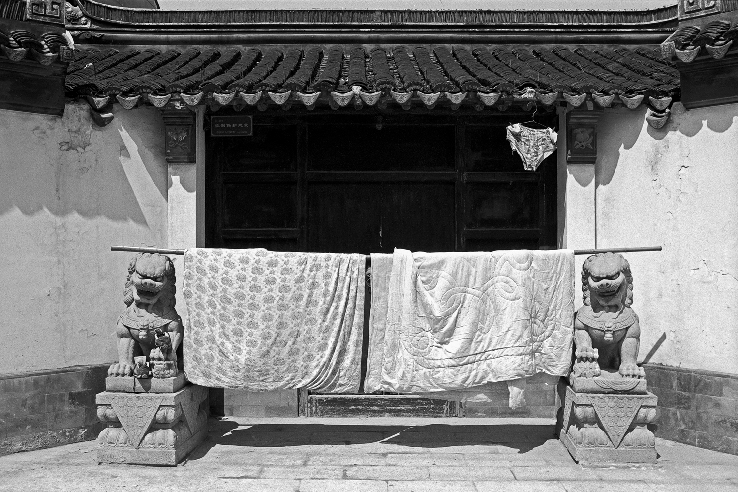 苏式生活 | 于祥：夏梦家门口的石狮子