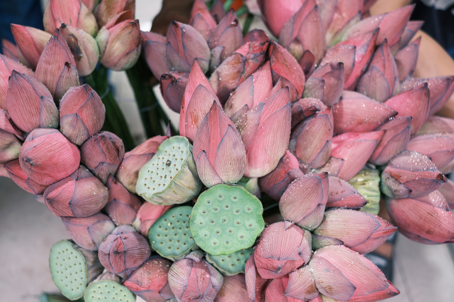 工坊作品 |  王敏：苏州“慢”