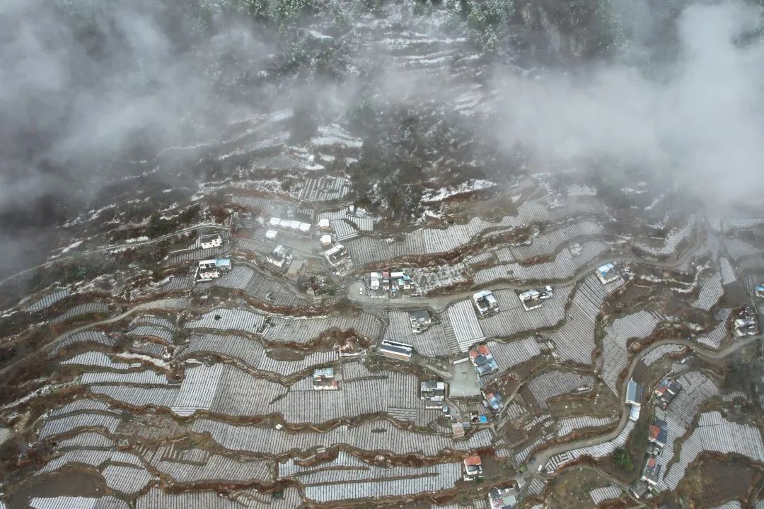 微信图片_20230416220037.jpg
