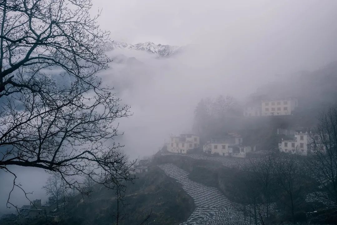 微信图片_20230416220104.jpg