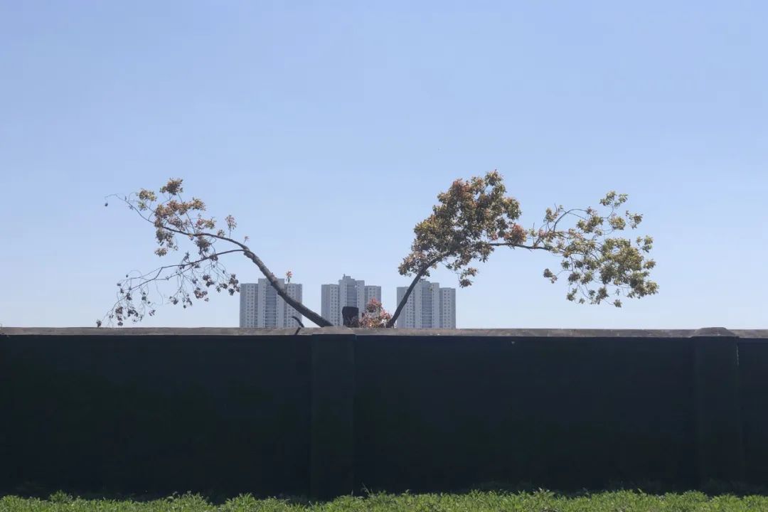 微信图片_20230428154624.jpg