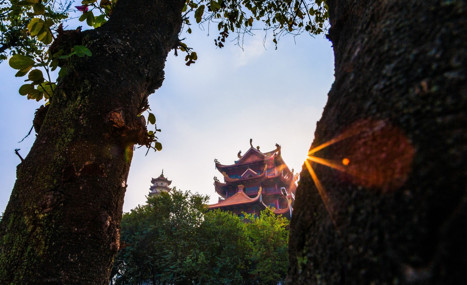 夏跃作品-图集-影像中国网-中国摄影家协会主办