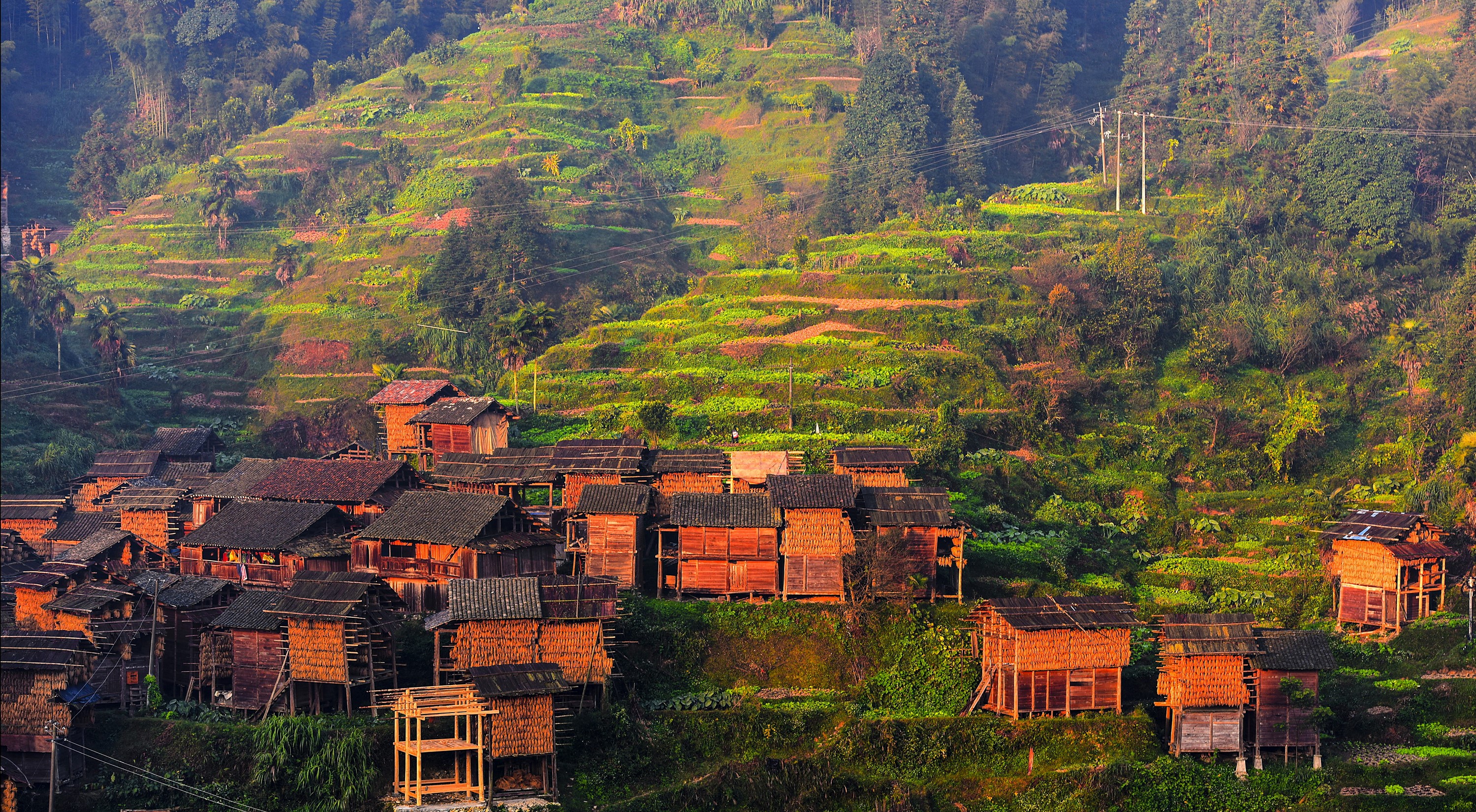 在线影展--影像中国网-中国摄影家协会主办