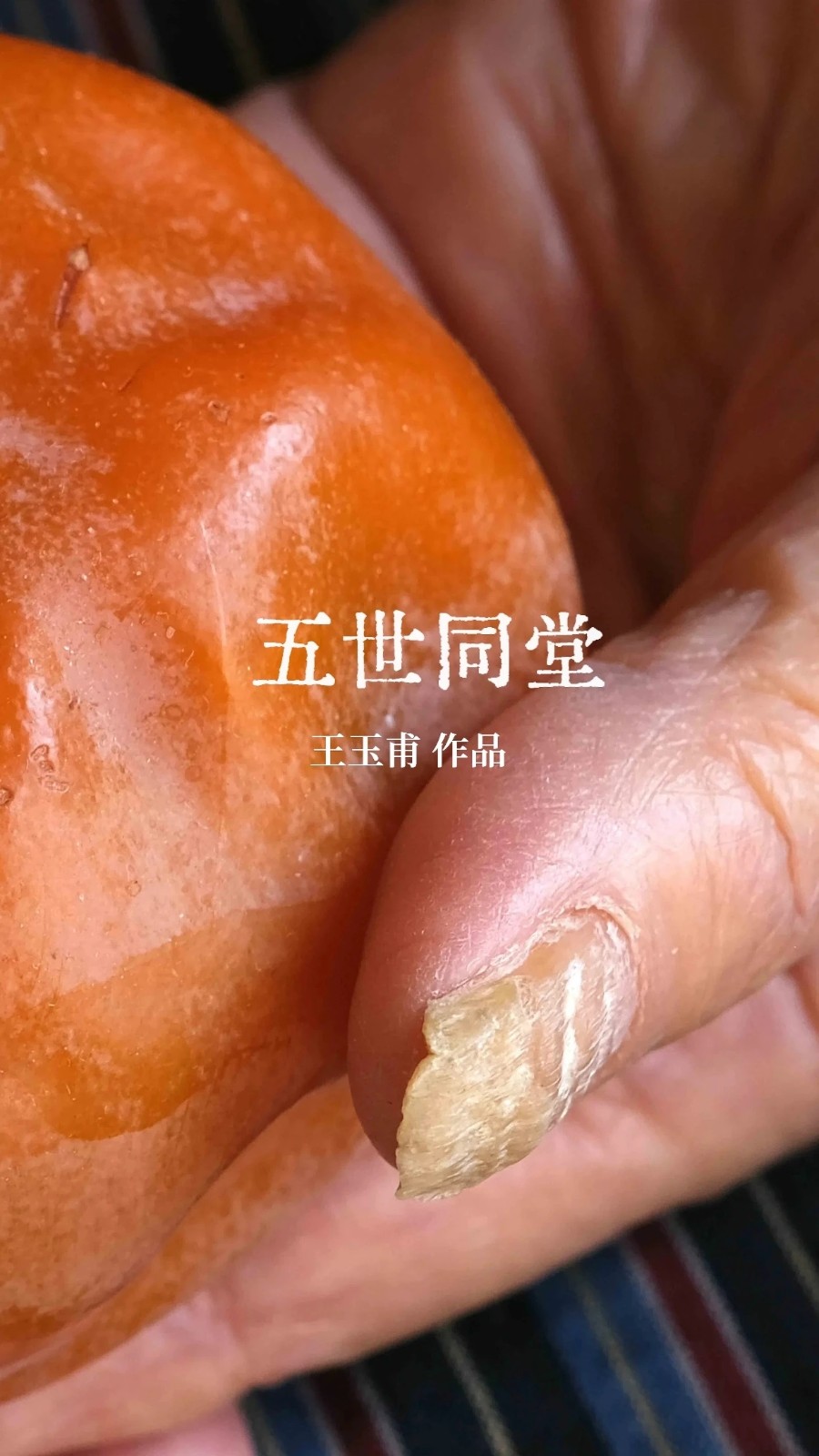 微信图片_20240929111017_副本.jpg