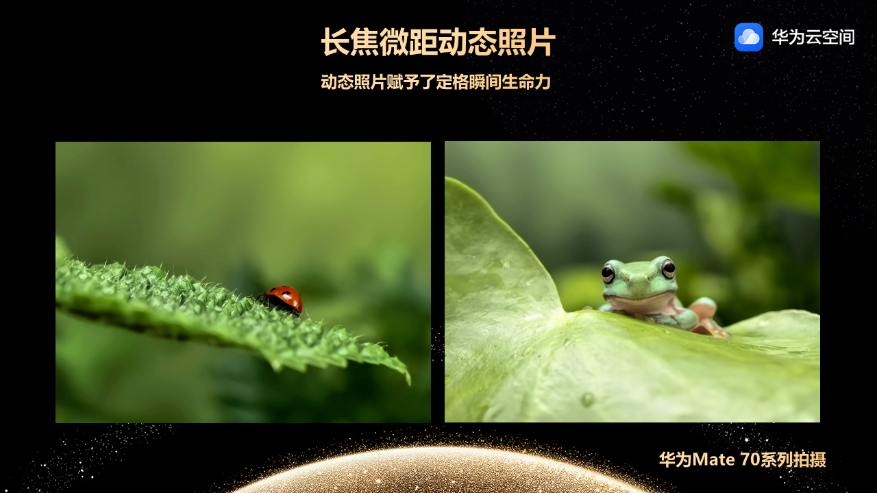 微信图片_20241217141342_20241217141548_143.png
