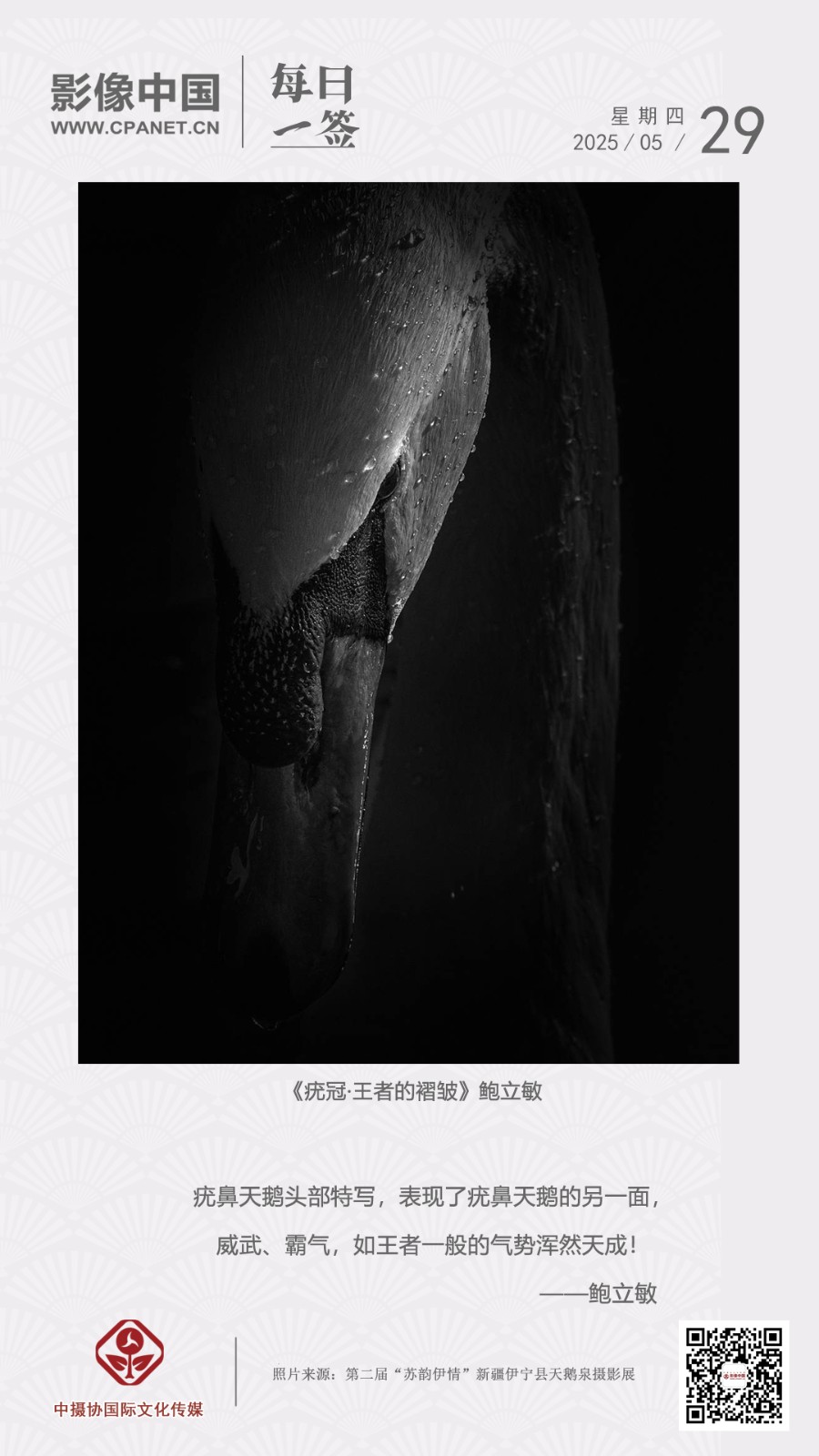 2025.5.29 拷贝.jpg