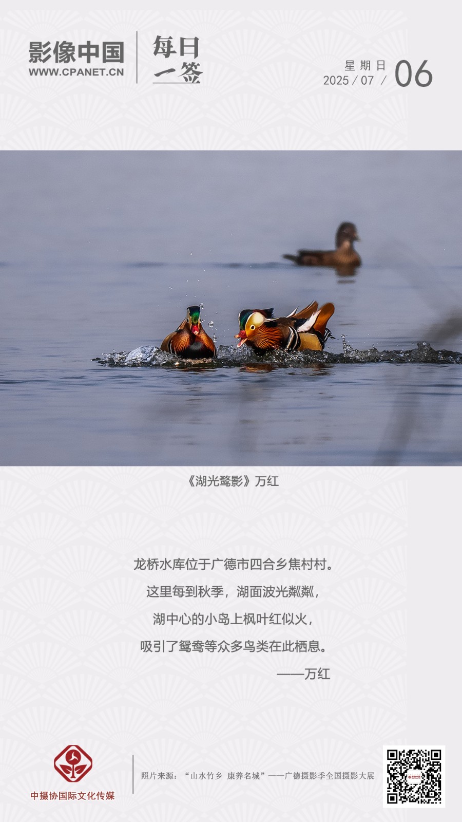 1751013360498499.jpg