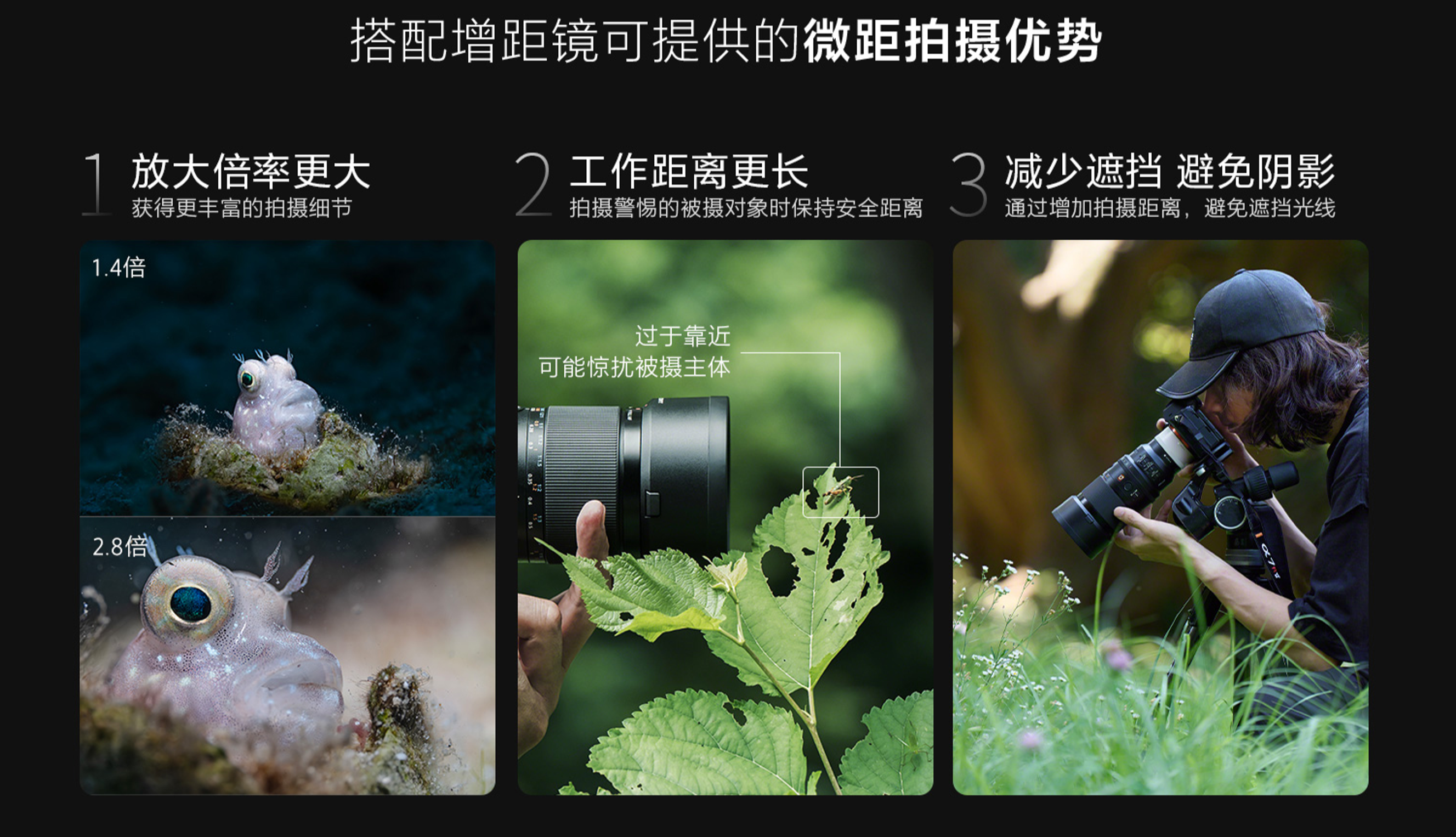1760151717151144.png image010.png