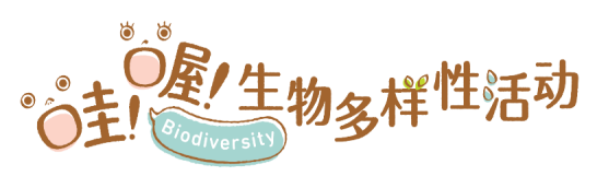 1761115072419657.png image001.png