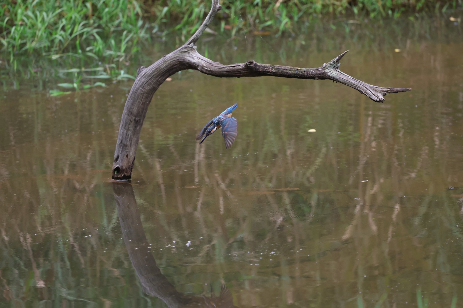 EOS R6 Mark III支持20张预连拍，捕捉更多精彩瞬间.JPG