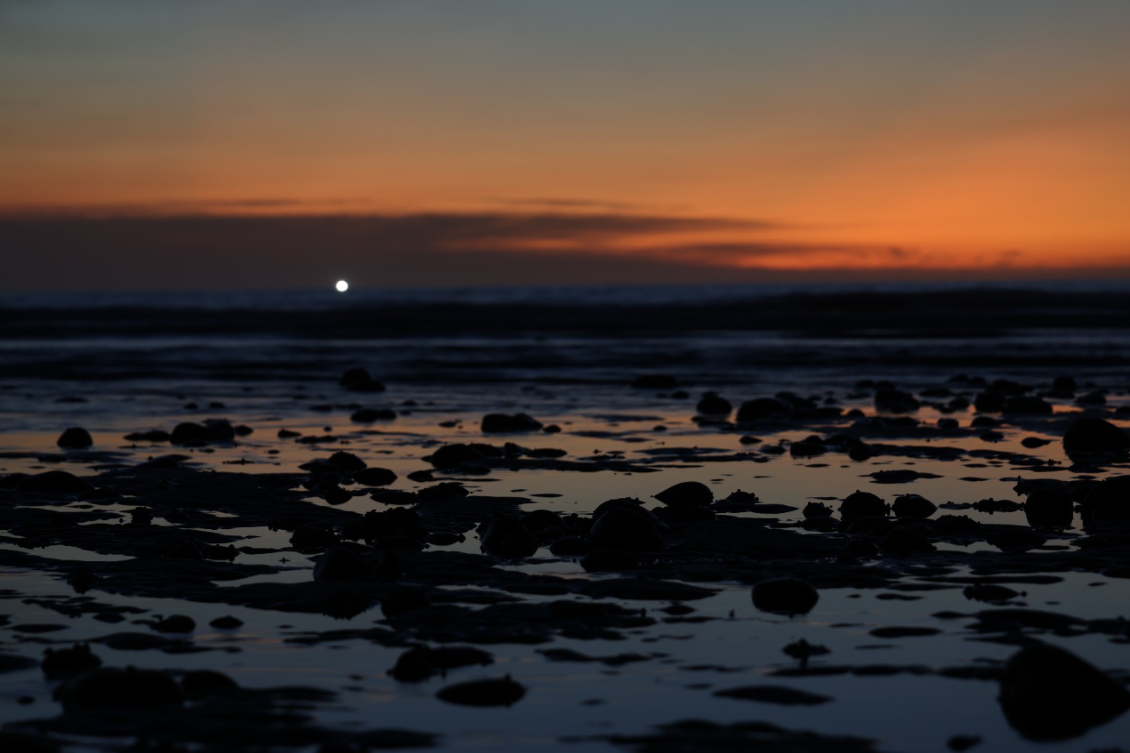 【0.5秒手持】EOS R6 Mark III搭配RF24-105mm F2.8 L IS USM Z.jpg