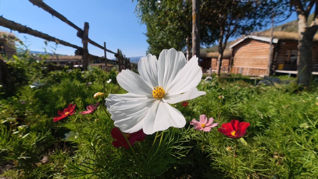 1763089480949241.jpg image007.jpg