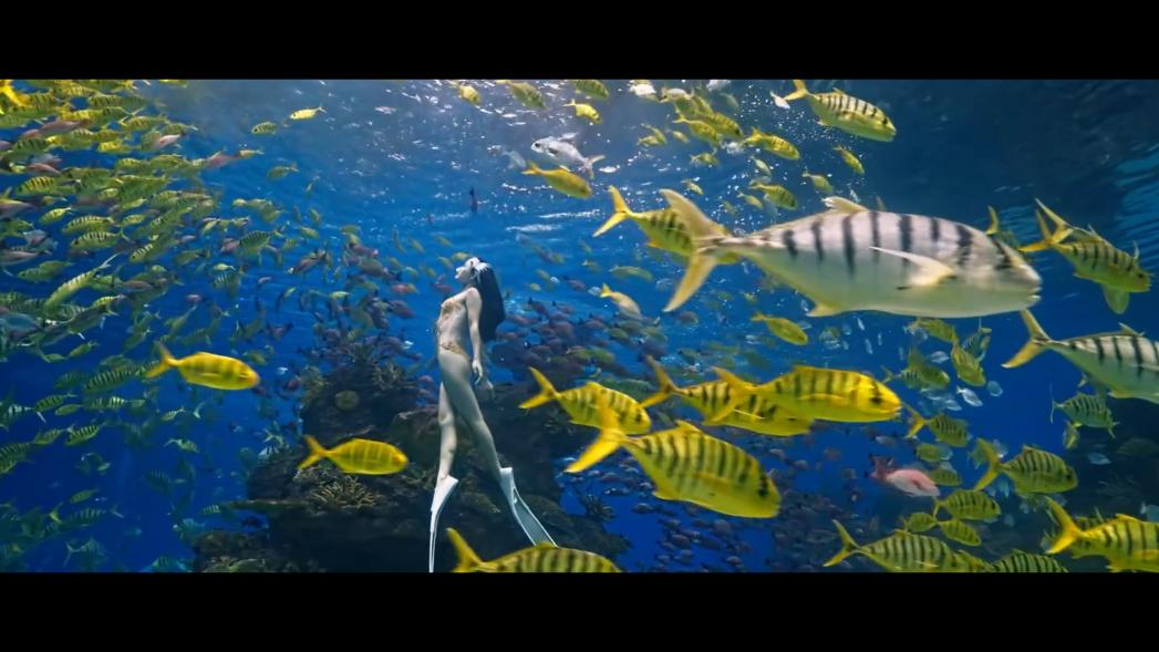 1763368356819694.jpg image003.jpg