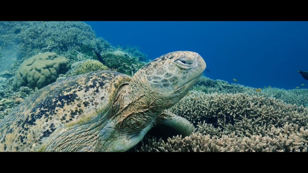 1763368378954028.jpg image005.jpg