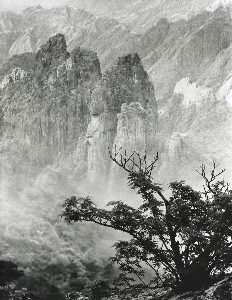 1763430305248663.jpg 017.jpg