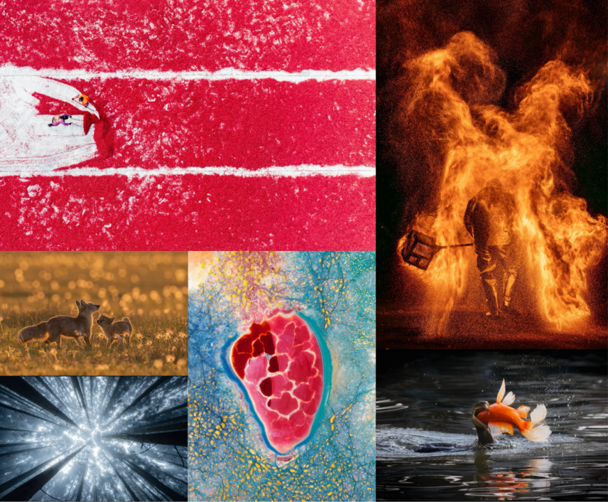 1763431012693484.png 微信图片_2025-11-18_095347_230.png